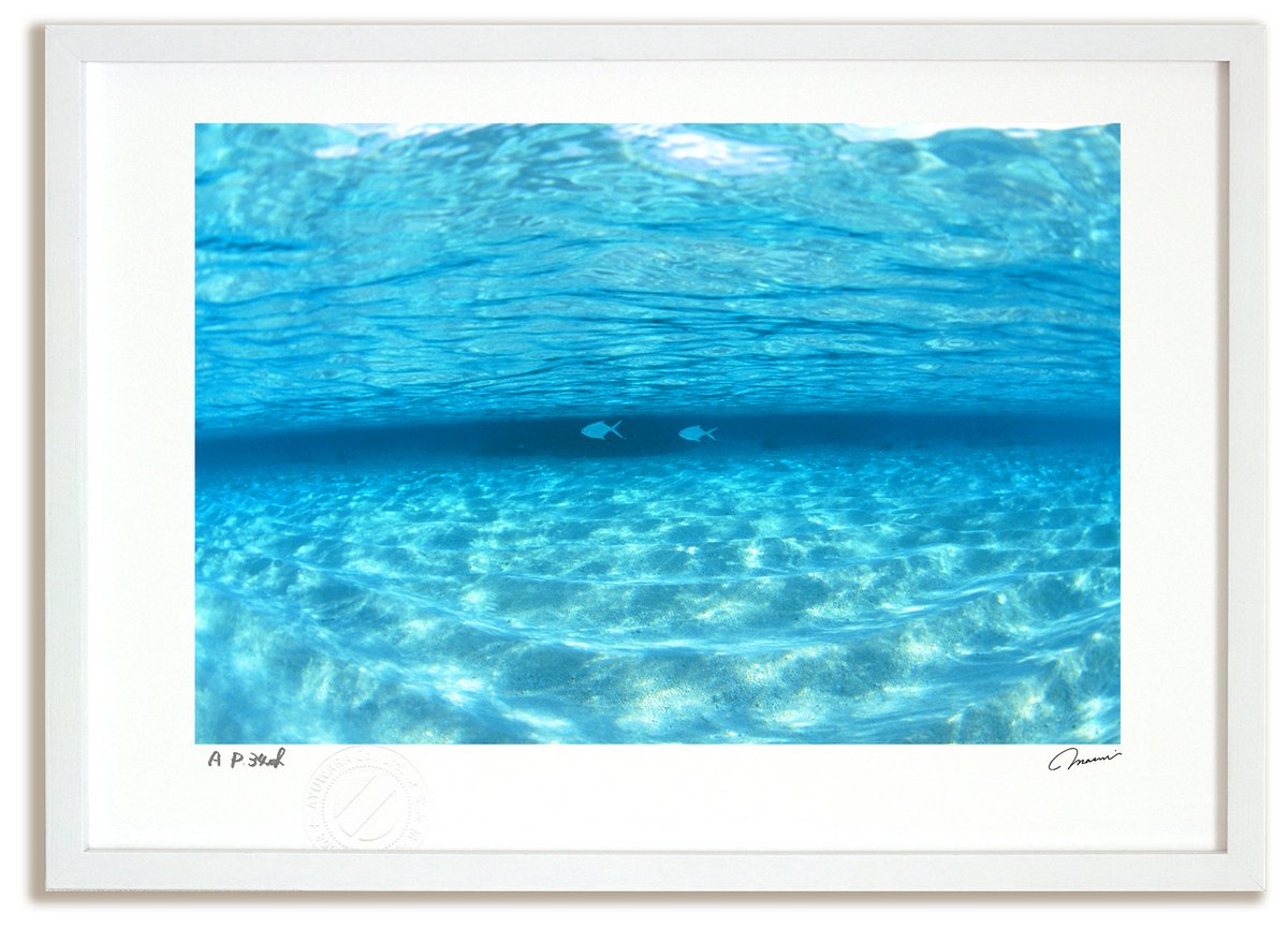 楽天市場】【スーパーSALE10％OFF】アートフォト 絵画 透明な海を泳ぐ