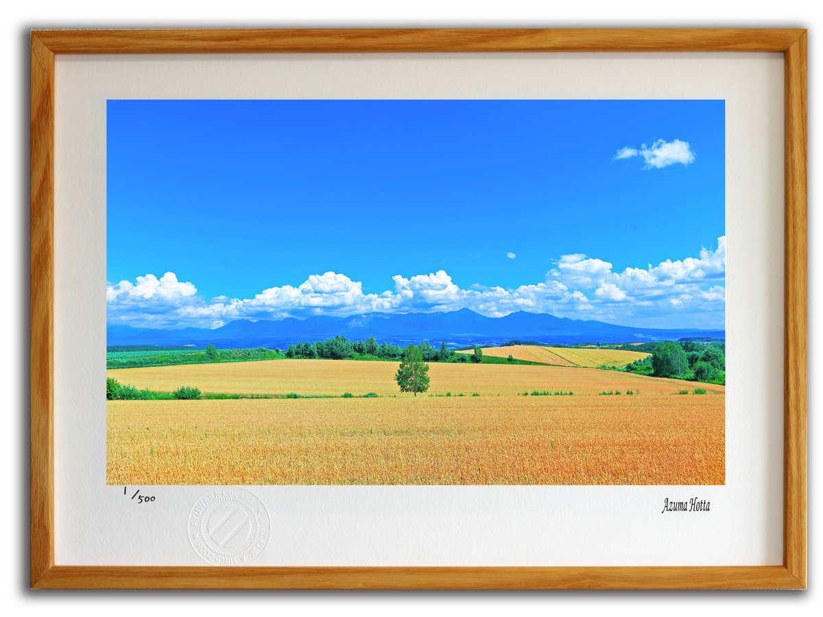 楽天市場】【スーパーSALE半額】版画 絵画 北海道の田園風景002 美瑛