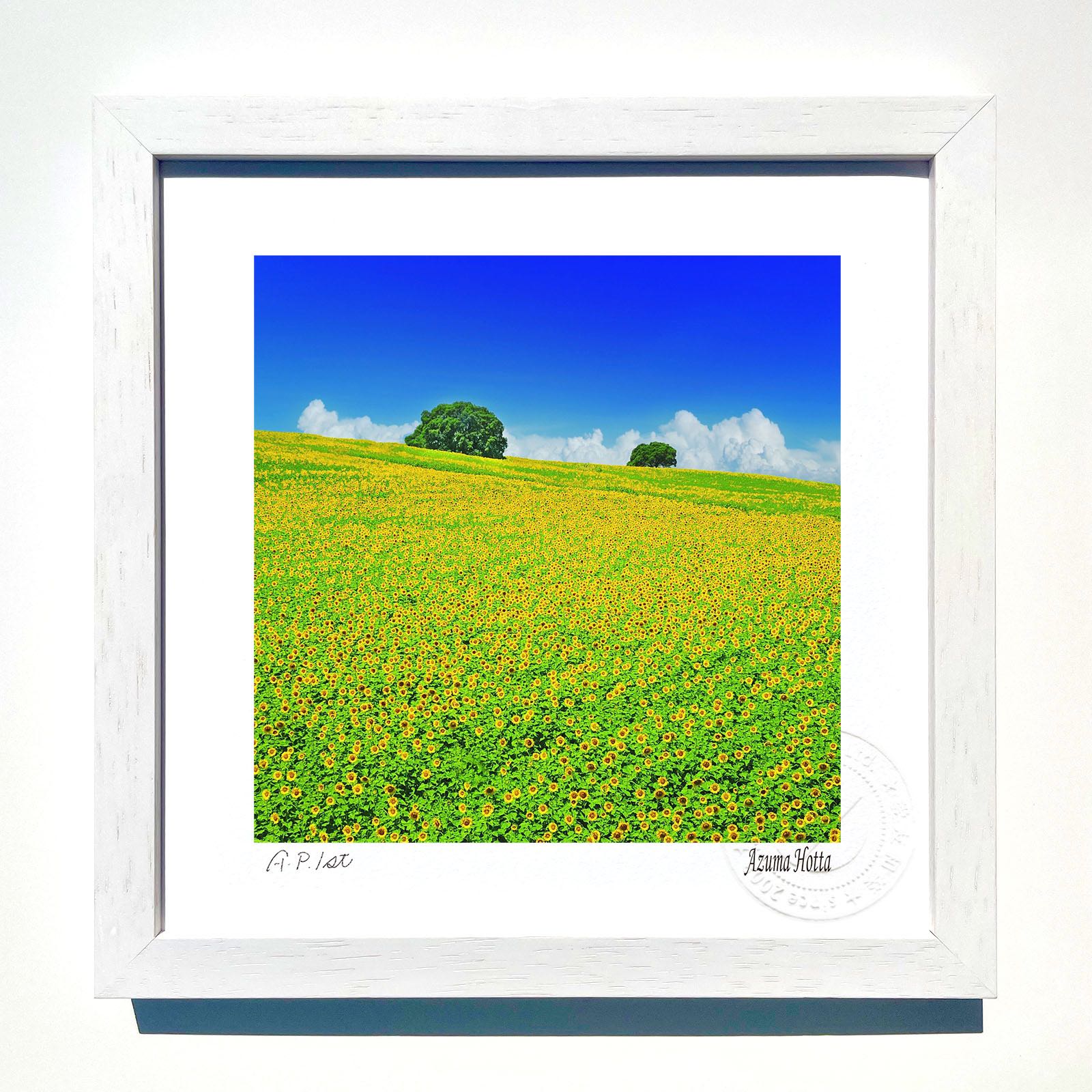 楽天市場】【スーパーSALE半額】版画 絵画斜面のひまわり畑/インテリア