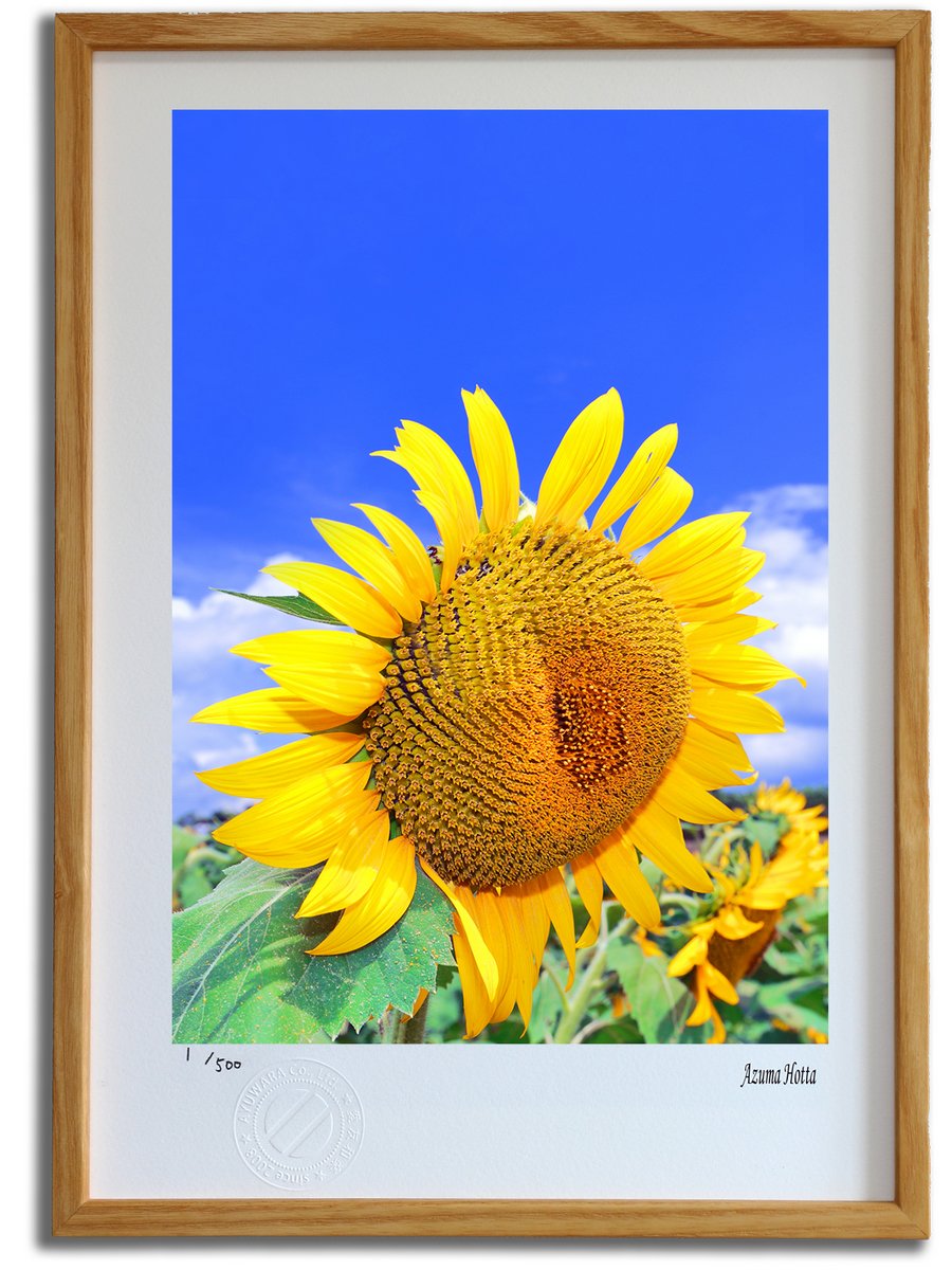 楽天市場】【スーパーSALE半額】版画 絵画 ひまわりのある風景001 山梨