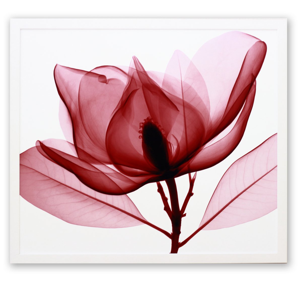 楽天市場】【スーパーSALE10％OFF】レントゲンアート 絵画 レッド