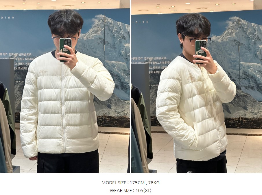 楽天市場】☆送料無料☆THE NORTH FACE☆ NJ1DQ15 M'S LYSE RDS DOWN