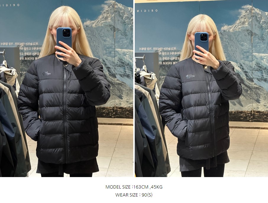 楽天市場】☆送料無料☆THE NORTH FACE☆ NJ1DQ15 M'S LYSE RDS DOWN