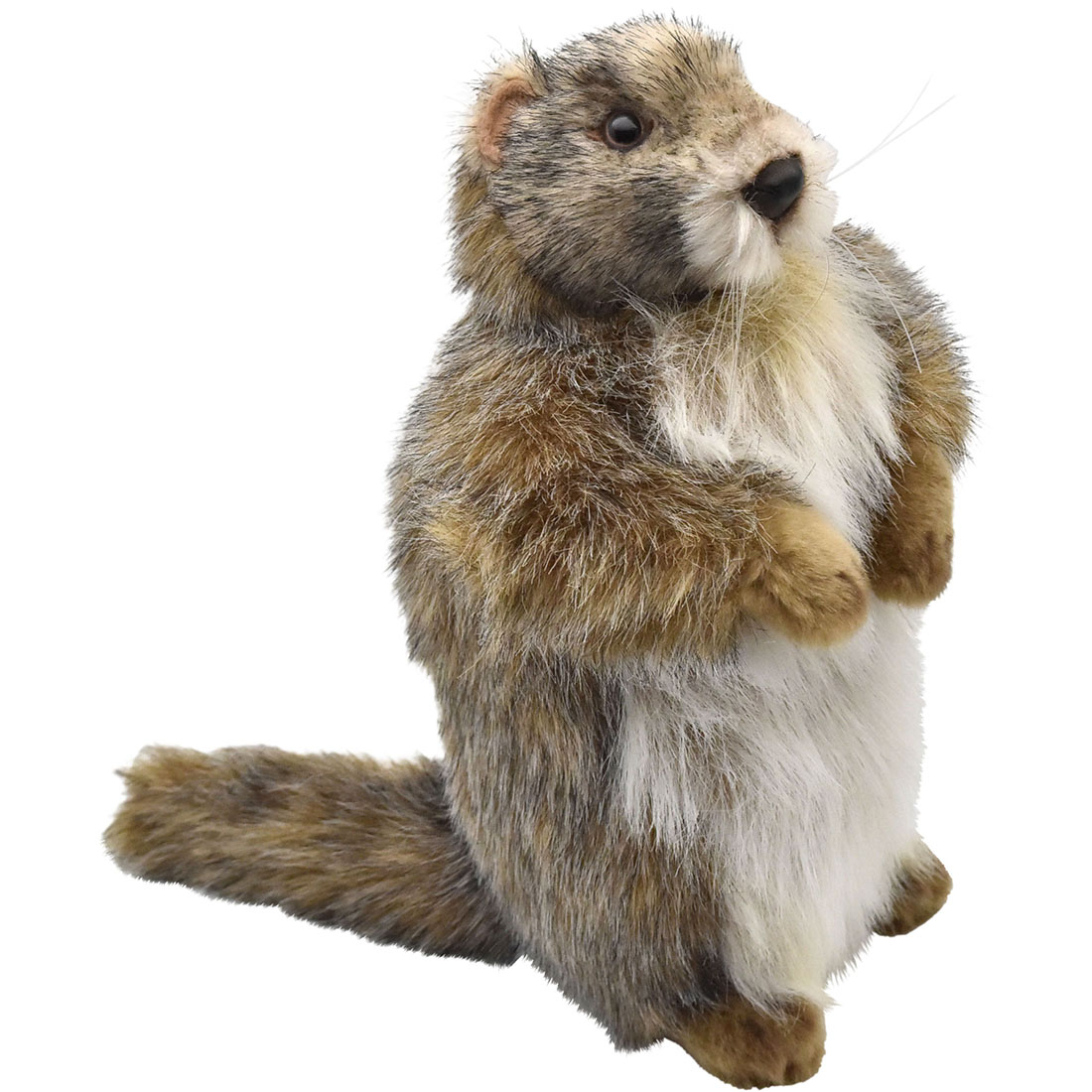 楽天市場】HANSA 3830 マーモット20 全長：20cm MARMOT BH3830