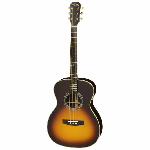 オール単板 アコースティックギター」の人気商品一覧 | 安い商品を通販