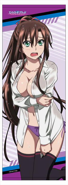 楽天市場】ストライク・ザ・ブラッドIV スポーツタオル 煌坂紗矢華 Y