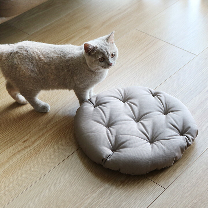 楽天市場】クッション 椅子 座布団 クッション おしゃれ ざぶとん