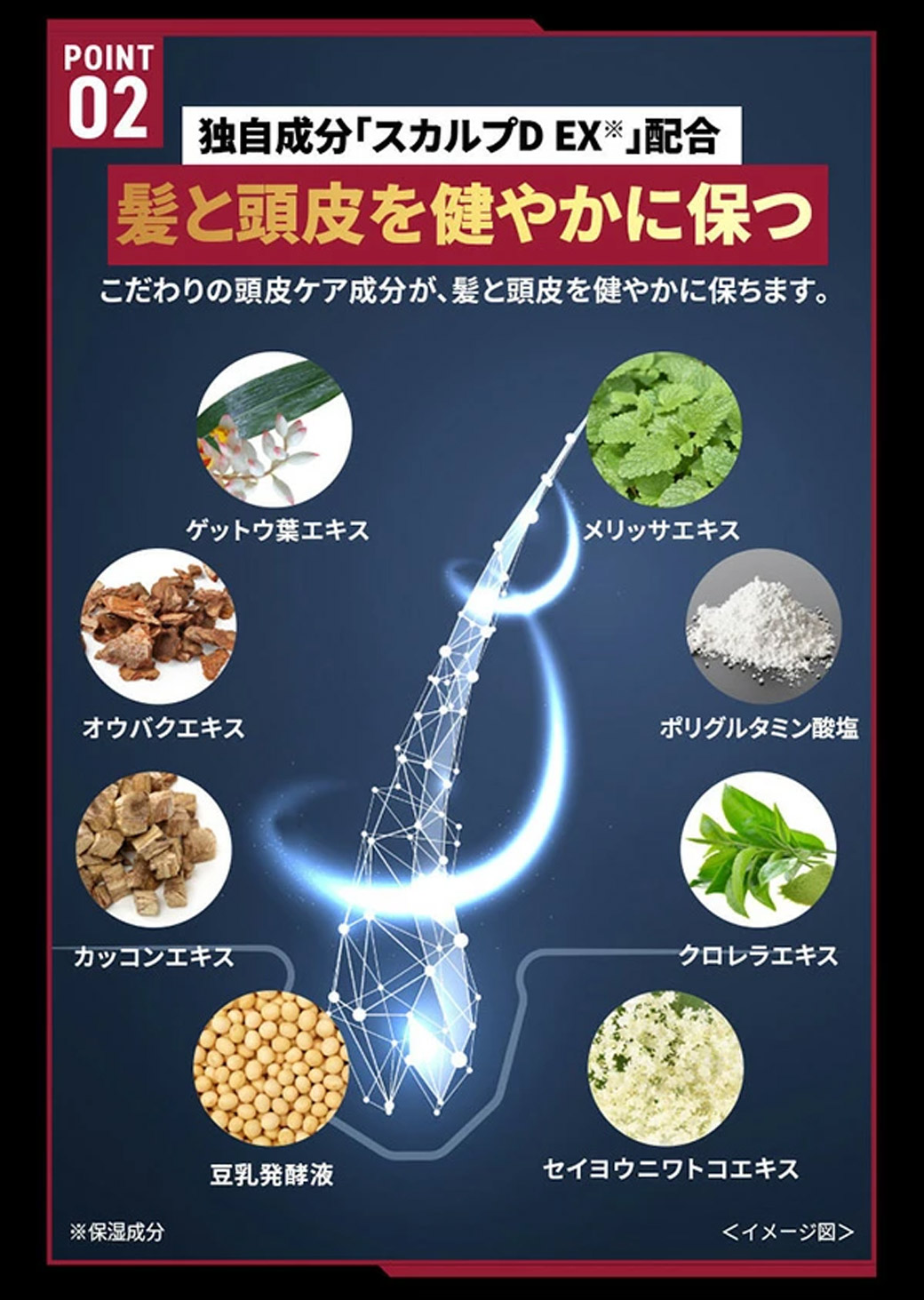 楽天市場】【30%ポイント還元】【返金保証】[医薬部外品]スカルプD