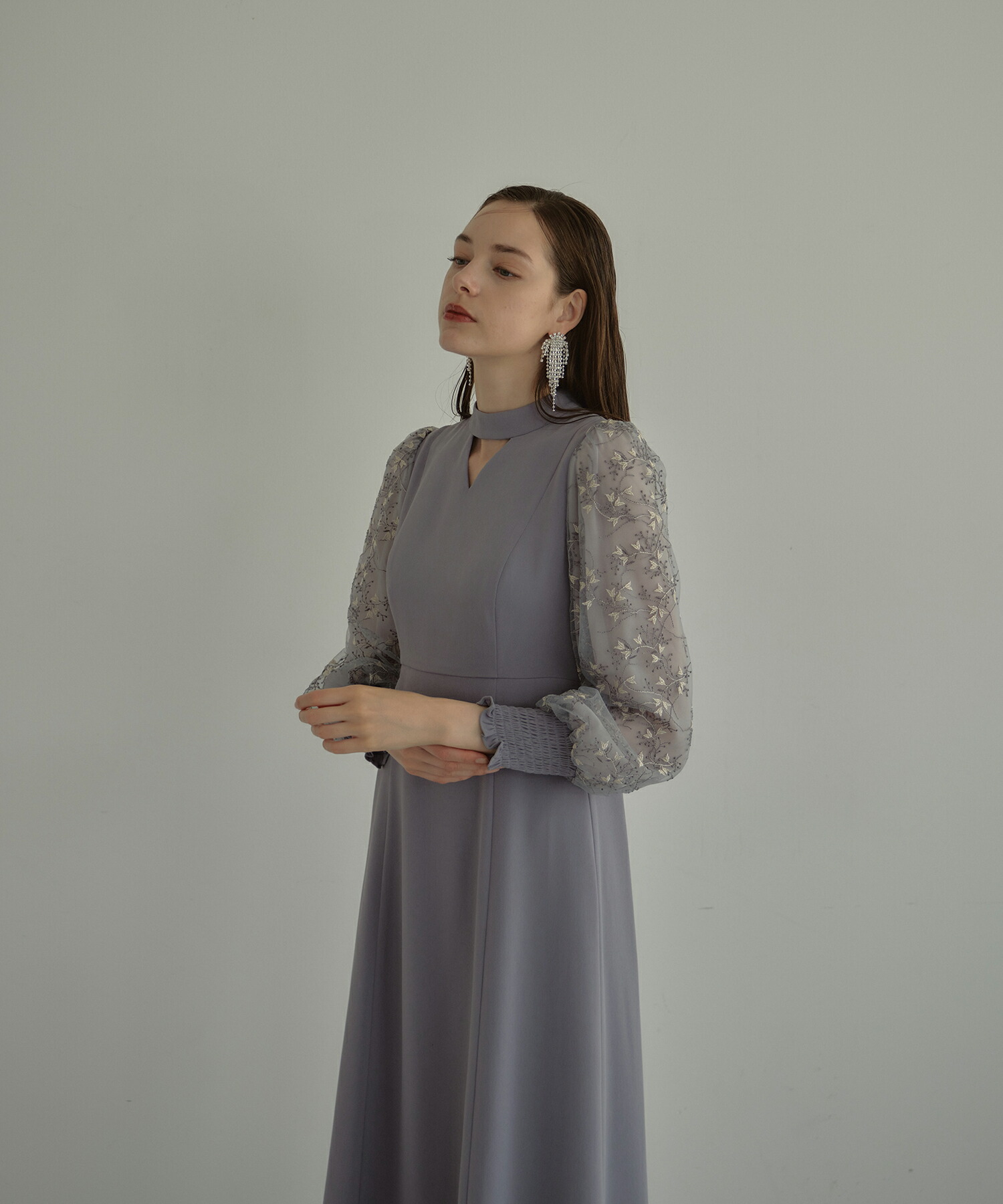 楽天市場】【公式】 ANDRESD アンドレスド 【 sleeve embroidery dress