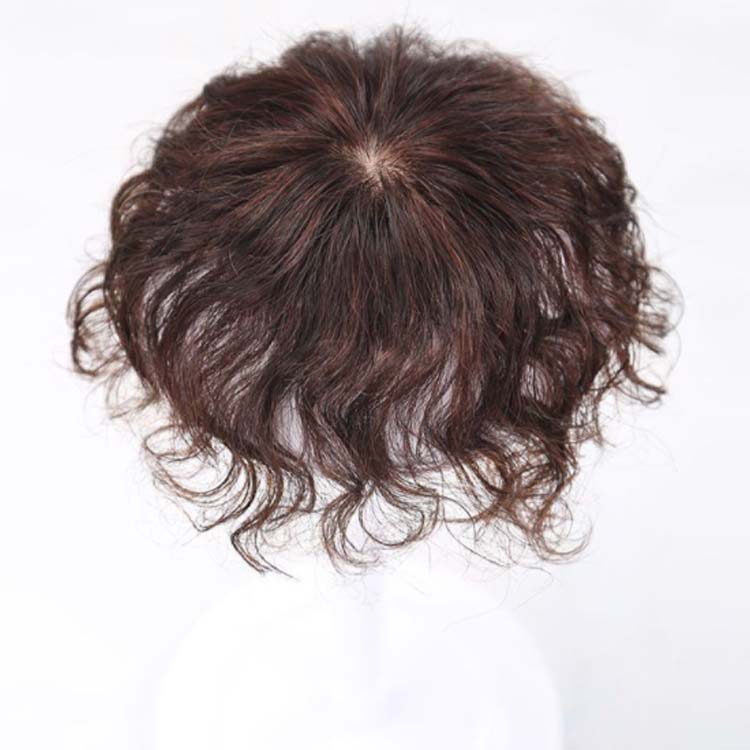 楽天市場】ウィッグ 部分ウィッグ 人毛100％ 長さ20cm 白髪隠し 送料