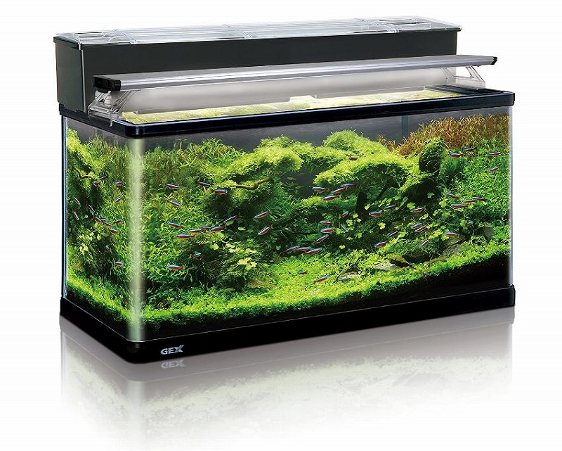 楽天市場】GEX ラピレスRV90 LEDセット曲げガラス水槽 : Aquarium Zenith