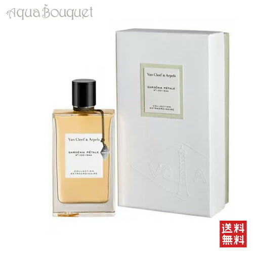 楽天市場】【先着限定☆最大1200円OFFクーポン配布&抽選100％ポイント