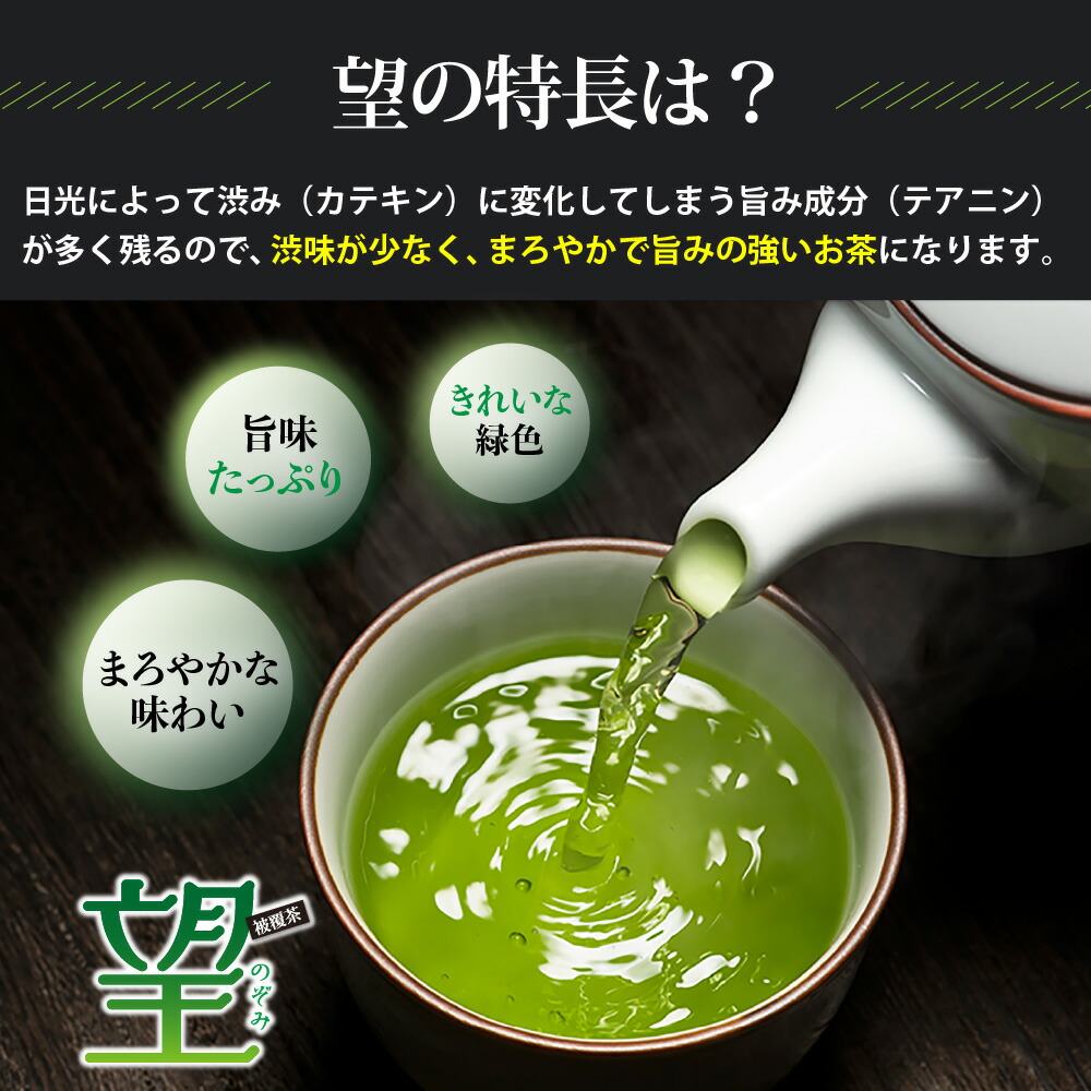 楽天市場】新茶 2025 極上 望 金印100g箱入 ギフト箱 煎茶 緑茶 お茶