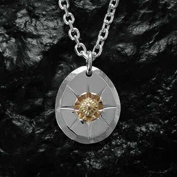 楽天市場】アリゾナフリーダム ネックレスの通販