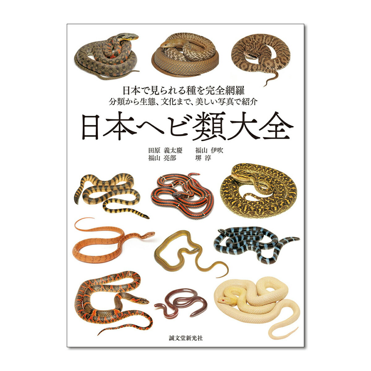 楽天市場】日本ヘビ類大全 誠文堂新光社 書籍 【 へび 図鑑 蛇