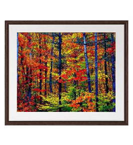 油絵 紅葉 絵画」の人気商品一覧 | 安い商品を通販サイトから探す