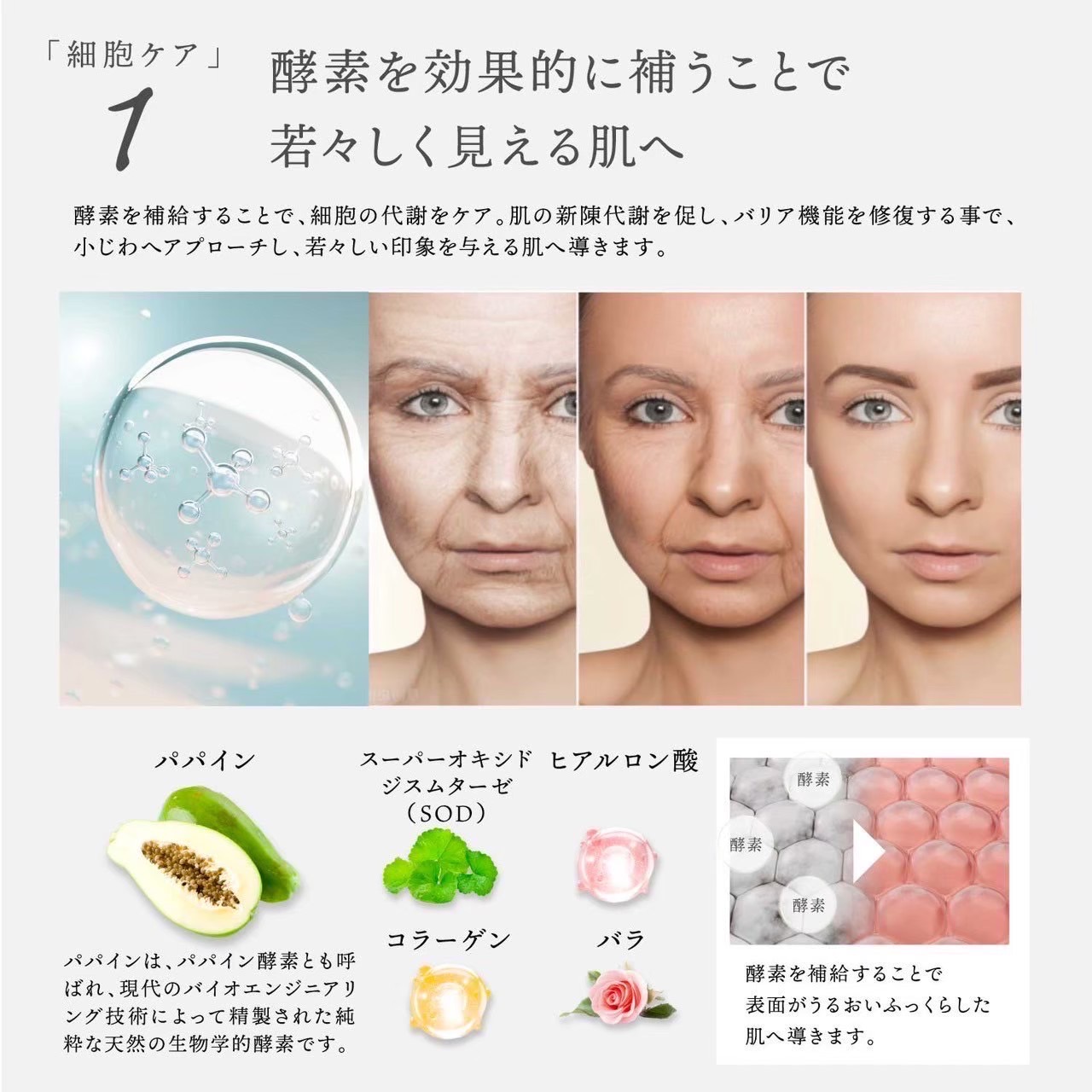 楽天市場】【スーパーSALE限定20%OFFクーポン】 公式 Dr.Kozu