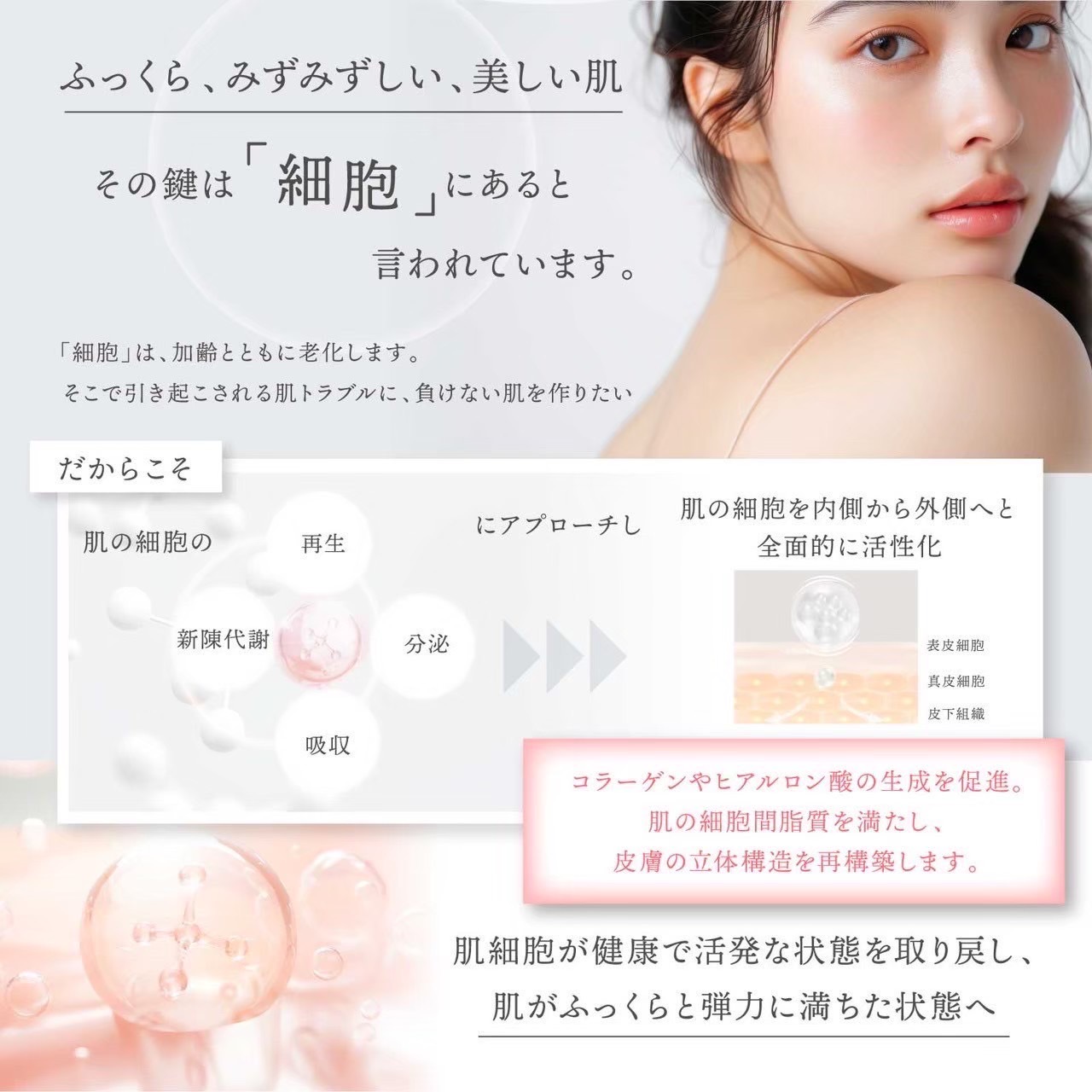 楽天市場】【スーパーSALE限定20%OFFクーポン】 公式 Dr.Kozu