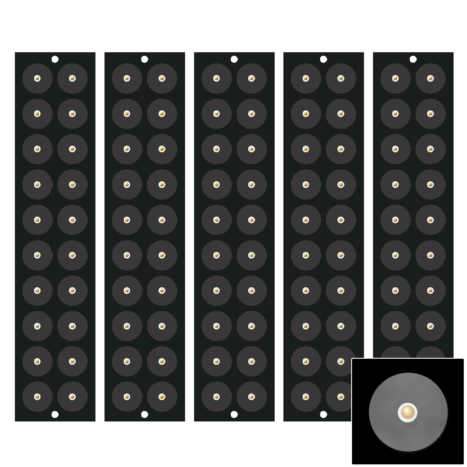 楽天市場】マグレイン 透明 チタンの通販