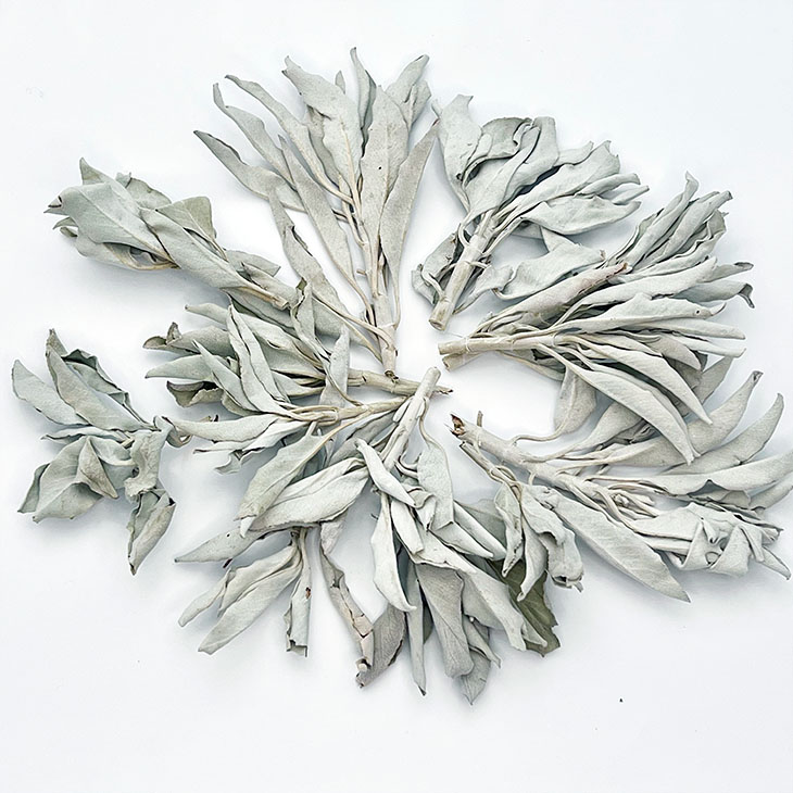 楽天市場】【送料無料】高品質【ホワイトセージ】30g【クラスター】無