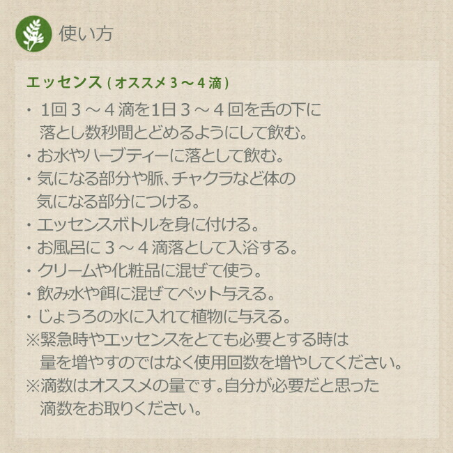 楽天市場】ラーヴァ Lava コルテPHIエッセンス その他スペシャル