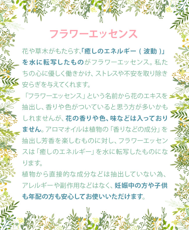 楽天市場】ECストロングスプレー 200ml 詰替用 ヒーリングハーブス