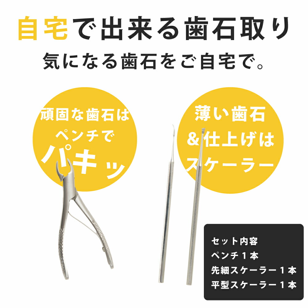 楽天市場】【P2＆クーポン配布中】愛犬・愛猫歯石取りペンチとスケラー