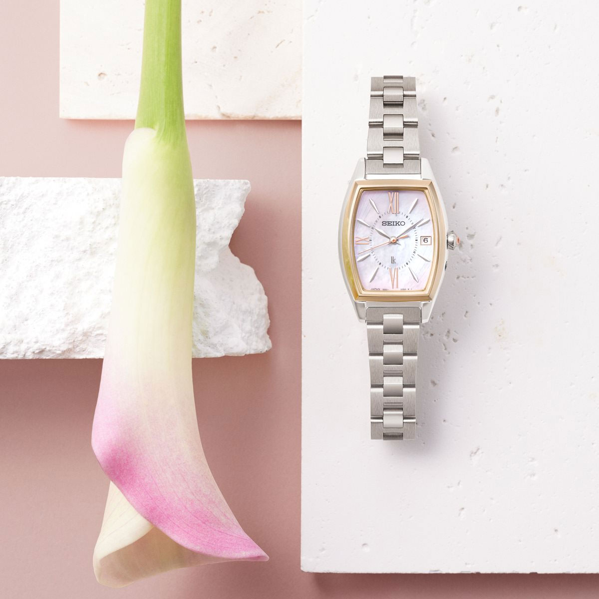 楽天市場】【3/5は当店限定Wイベント！2000円OFFクーポン＆抽選で最大