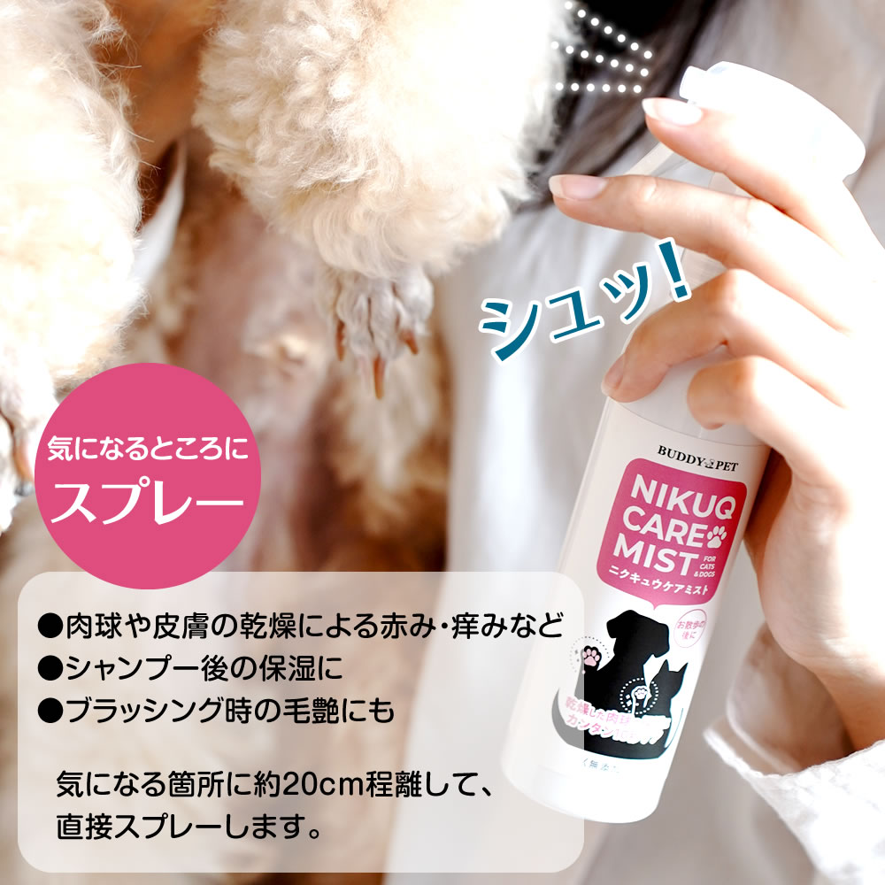 楽天市場】【正規販売代理店】【ケアセット】ブランシュ テラ