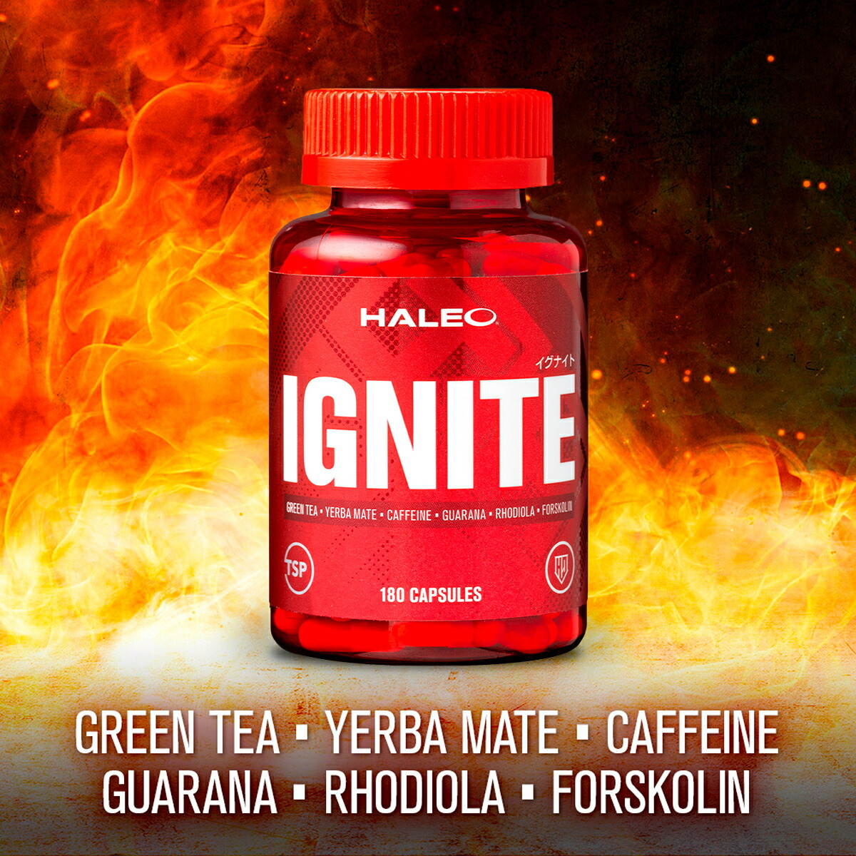 楽天市場】☆セール限定 ポイント5倍☆【公式】HALEO ハレオ