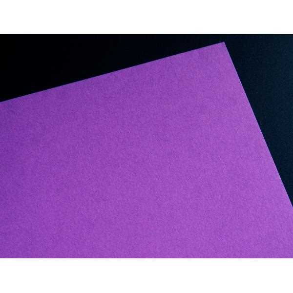 楽天市場】色画用紙 むらさき 36.3×25.7cm 6枚入 (100円ショップ 100円