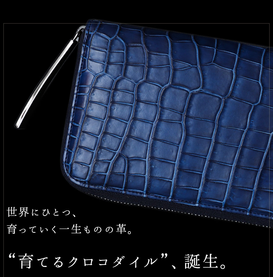 楽天市場】【池田工芸】藍染め クロコダイル ホールカット ビッグ
