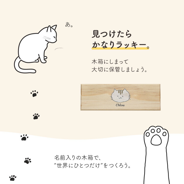楽天市場】猫のひげ入れ 猫のひげケース 猫 ねこ ネコ ひげ ヒゲ 髭 猫