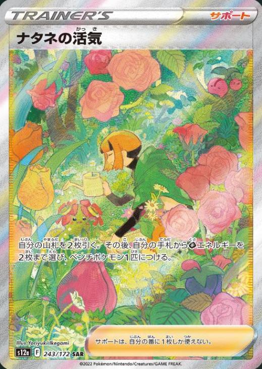 楽天市場】ナタネ srの通販