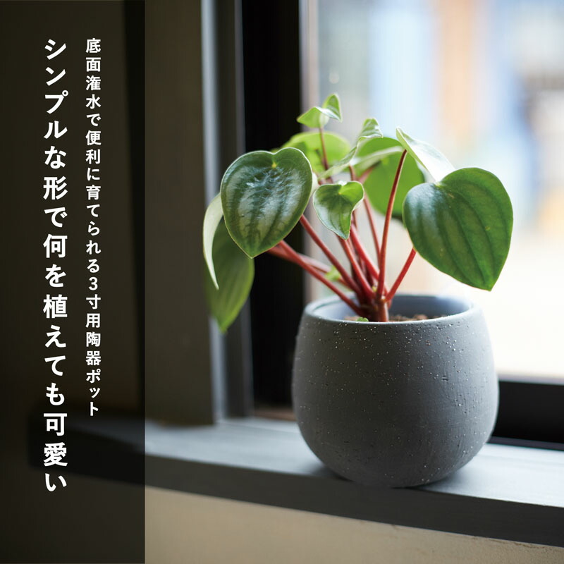 楽天市場】ポネラ バリー 3号用 底面かん水ポット付き【植木鉢