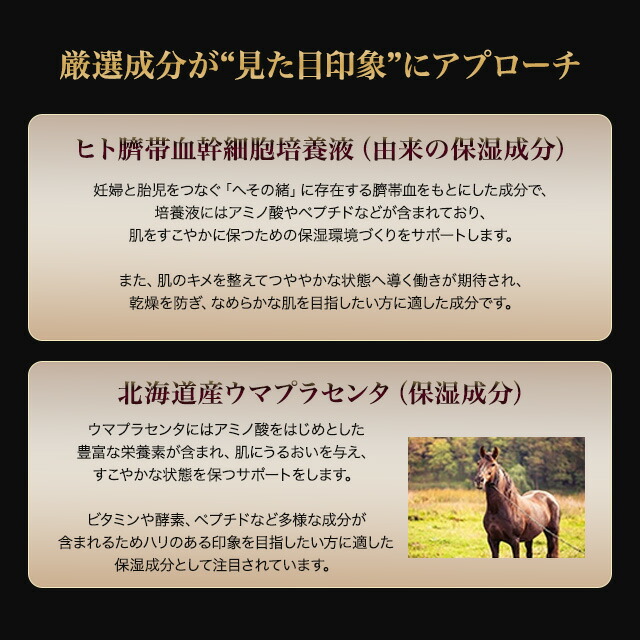 楽天市場】プレジスト V フィックス アメージング クリーム 50g