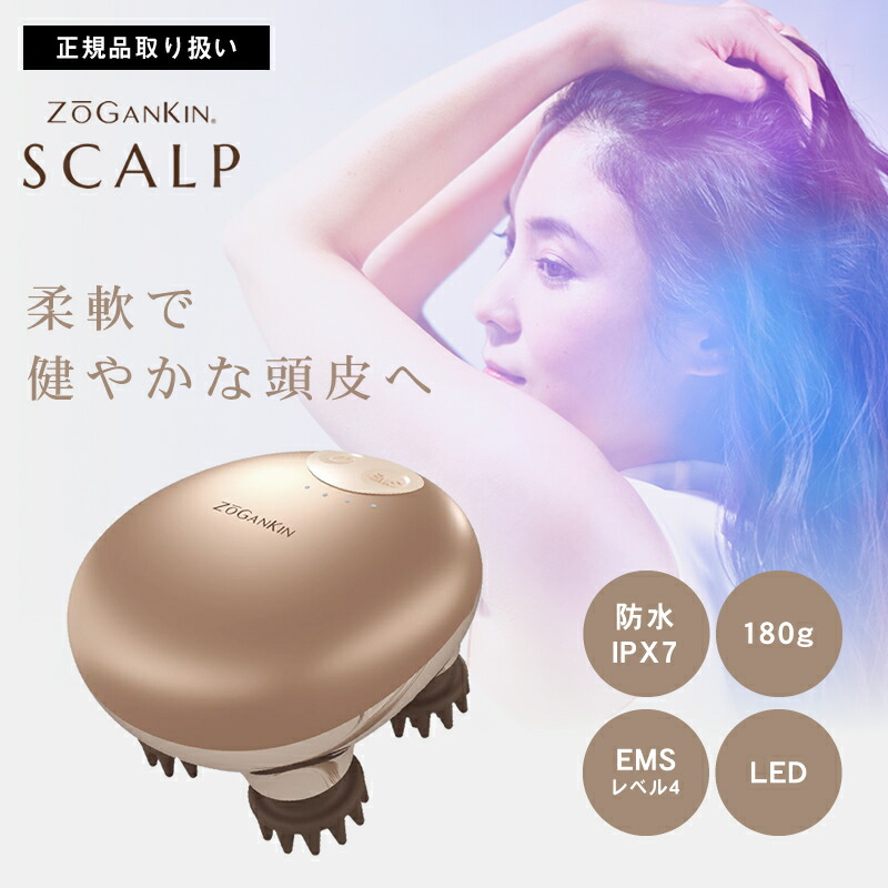 ゾーガンキンスカルプ」の人気商品一覧 | 安い商品を通販サイトから