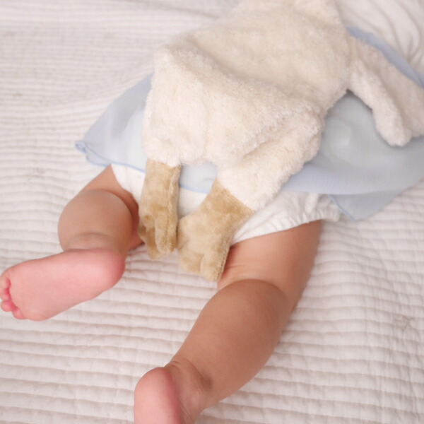 楽天市場】【SENGER Naturwelt-ゼンガーナチュウェルト】グース