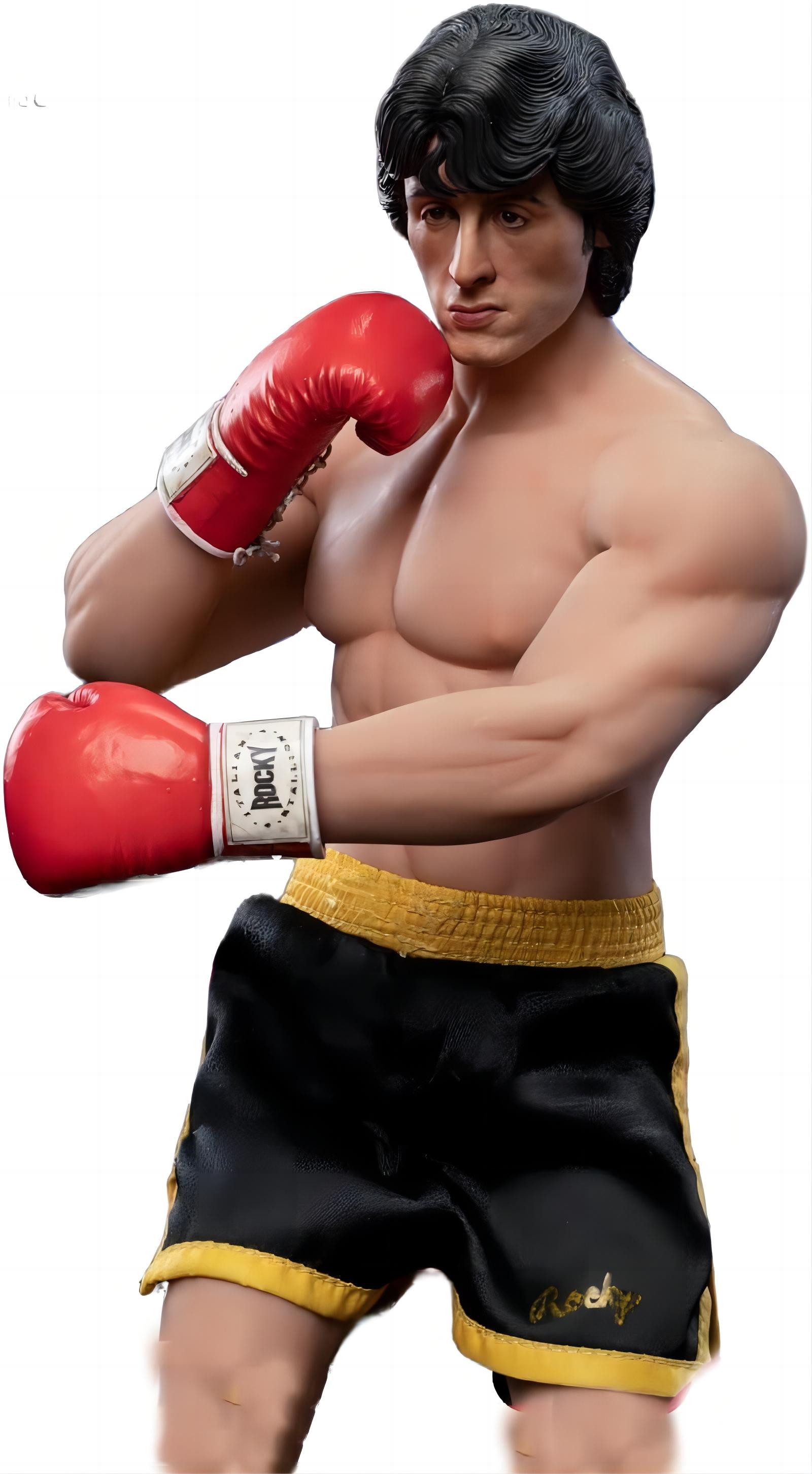 楽天市場】STAR ACE Toys 1/6 男性 mabinogi2 45周年 ロッキー