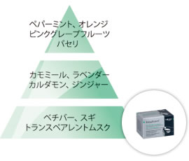 楽天市場】ランプベルジェ製 イージーセント ディフューザー【アンチ