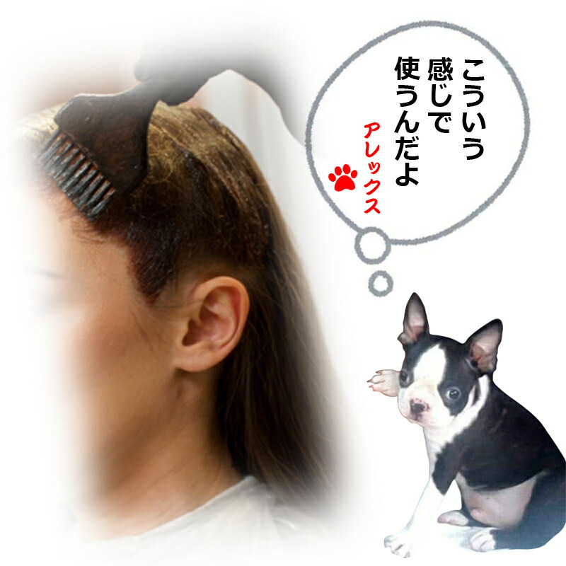 楽天市場】フィヨーレ BLカラー [ ニュートラル 12NN ライトナー