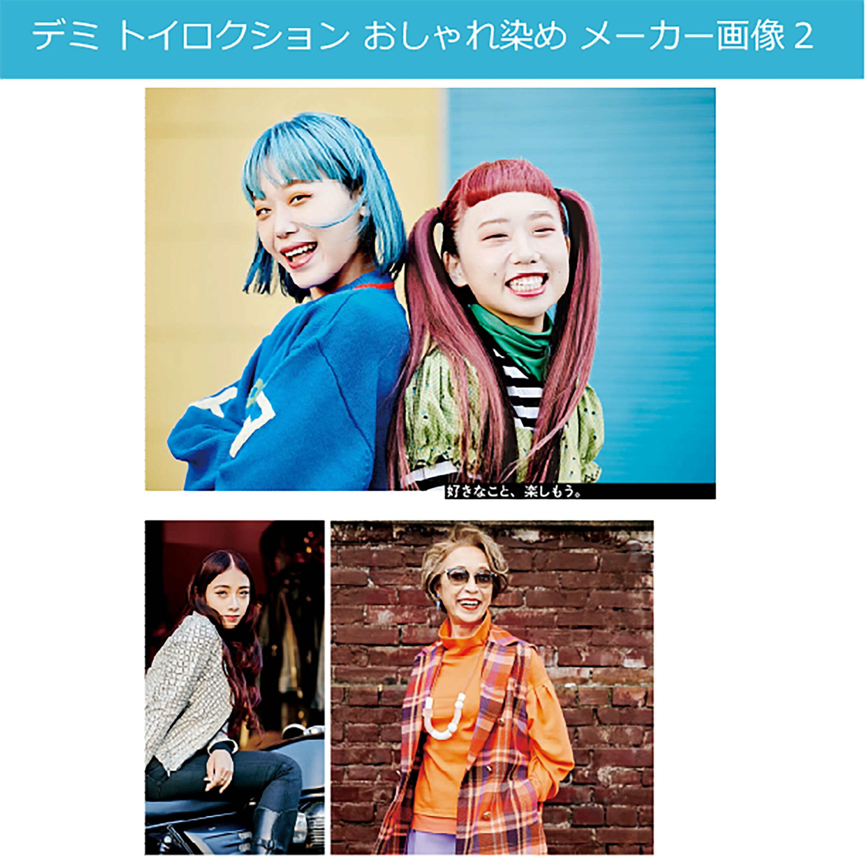 楽天市場】トイロクション デミ 80g 1本と 2000mlオキシセット