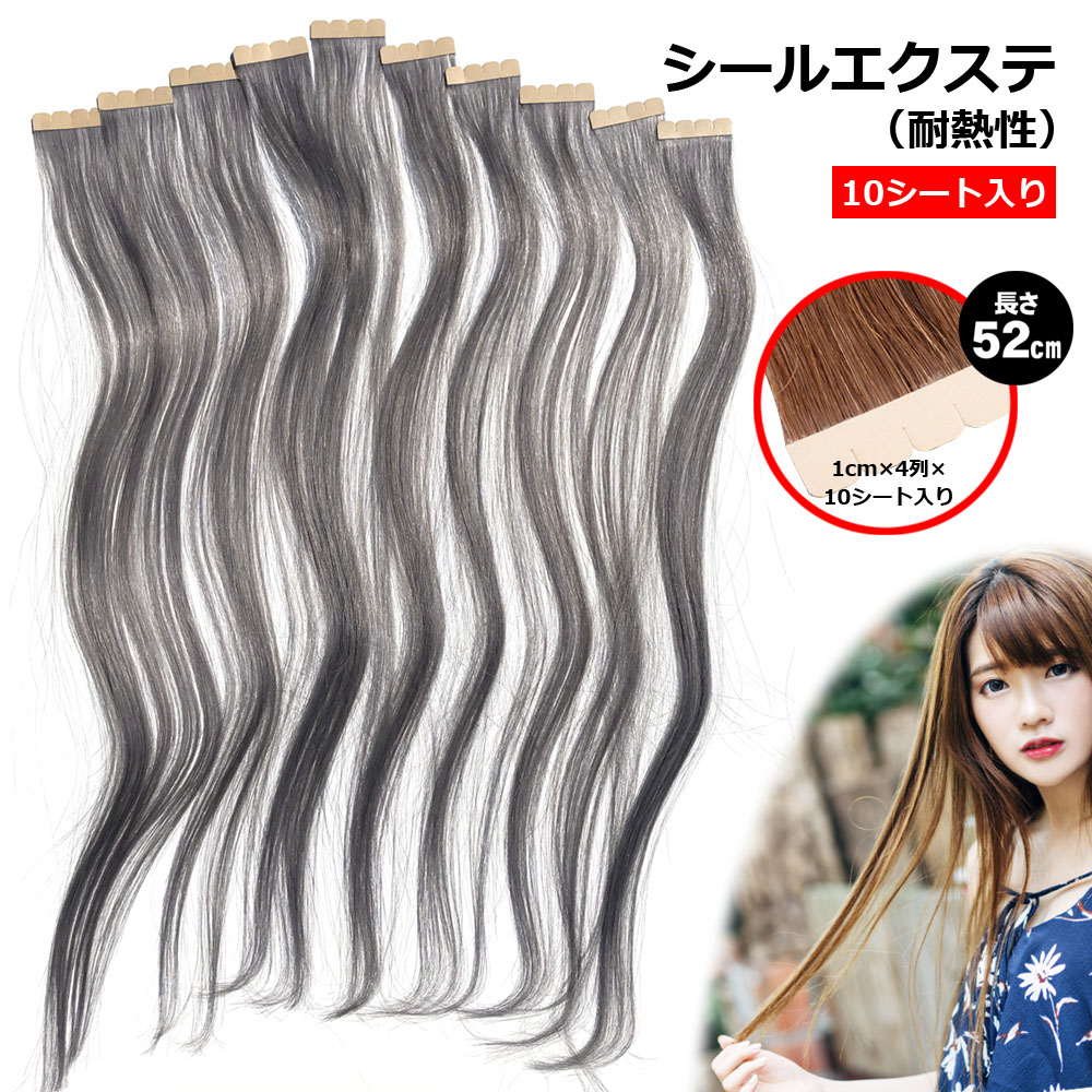 楽天市場】シールエクステ 人毛 ロング [ ダークシルバー アッシュ