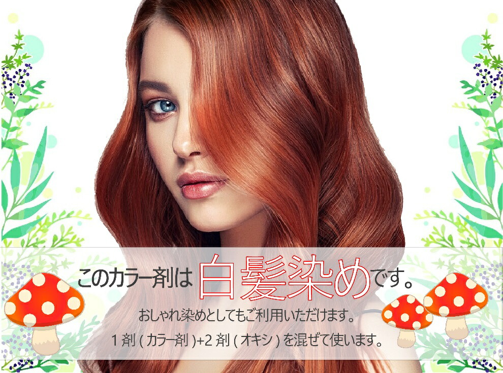 楽天市場】白髪染め シュワルツコフ テラ オキシ 1リットル セット