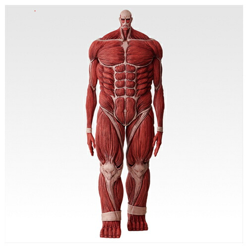 楽天市場】メガソフビ 進撃の巨人 超大型巨人の通販