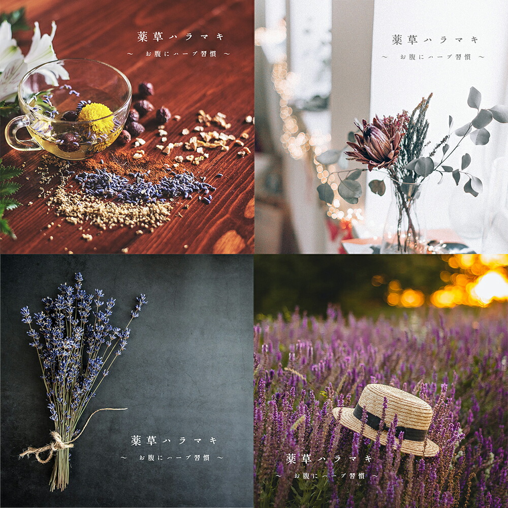 楽天市場】薬草ハラマキ 正規品（レギュラーサイズ） | 初回お試し価格