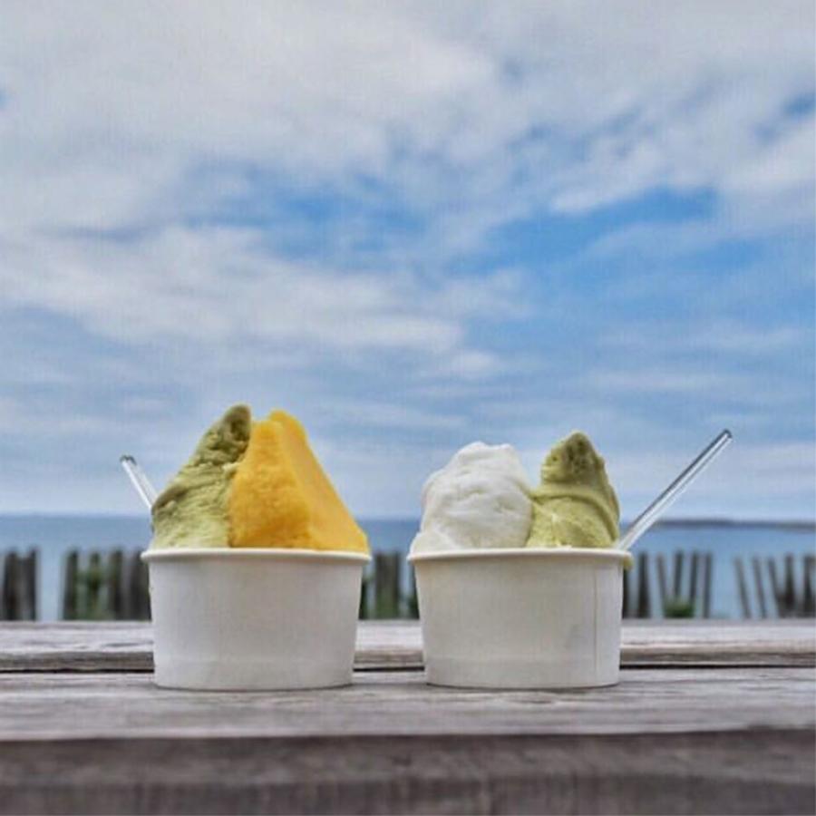 楽天市場】【 紙カップ アイスカップ 】 ジェラートシングルカップ