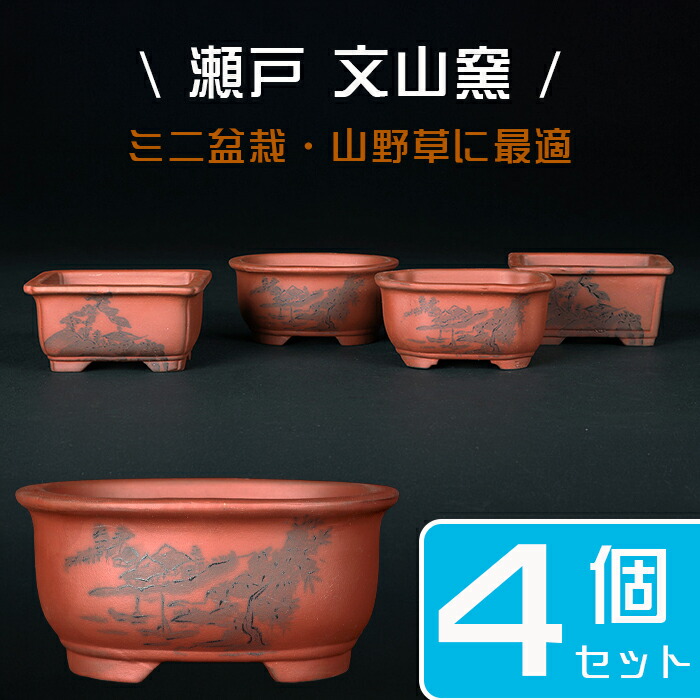 楽天市場】盆栽鉢 朱泥の通販