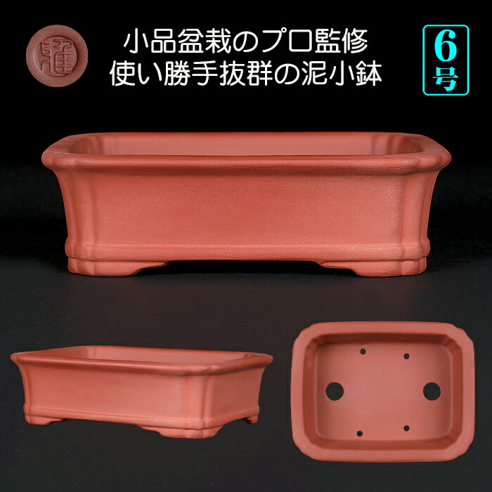 盆栽鉢 6号」の人気商品一覧 | 安い商品を通販サイトから探す - 価格.com