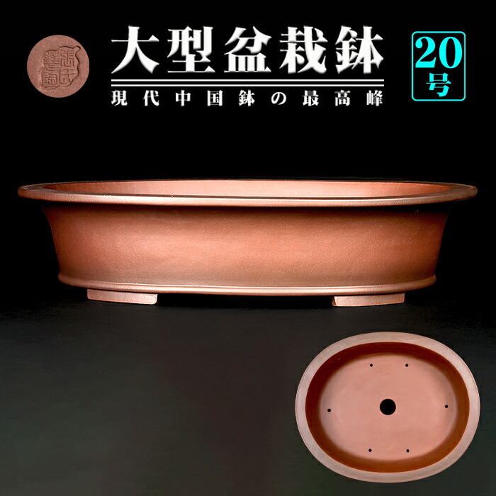 楽天市場】盆栽鉢 20号の通販